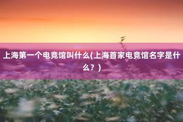   上海第一个电竞馆叫什么(上海首家电竞馆名字是什么？)