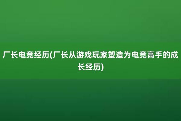   厂长电竞经历(厂长从游戏玩家塑造为电竞高手的成长经历)