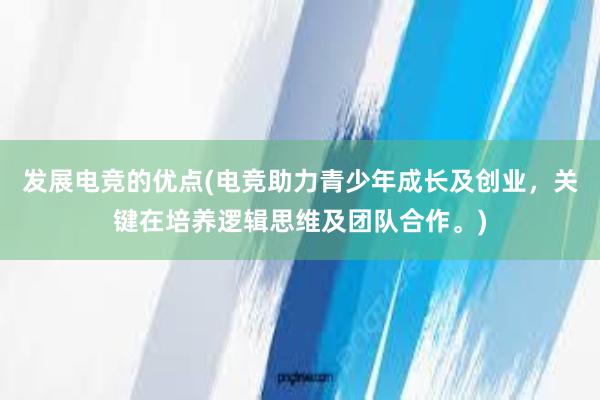   发展电竞的优点(电竞助力青少年成长及创业，关键在培养逻辑思维及团队合作。)