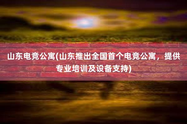 山东电竞公寓(山东推出全国首个电竞公寓，提供专业培训及设备支持)