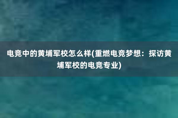 电竞中的黄埔军校怎么样(重燃电竞梦想：探访黄埔军校的电竞专业)