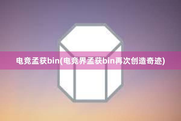 电竞孟获bin(电竞界孟获bin再次创造奇迹)