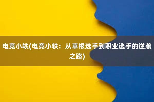   电竞小轶(电竞小轶：从草根选手到职业选手的逆袭之路)