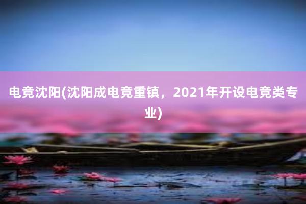   电竞沈阳(沈阳成电竞重镇，2021年开设电竞类专业)