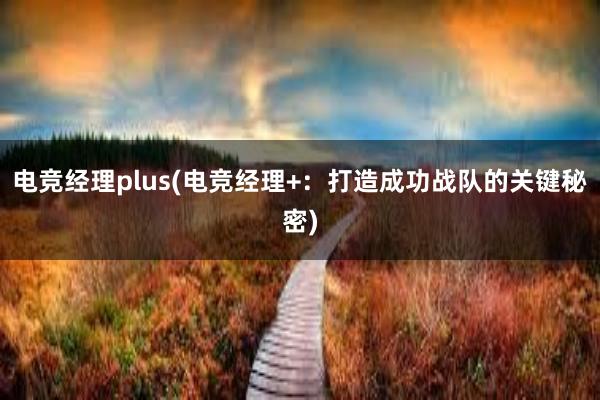   电竞经理plus(电竞经理+：打造成功战队的关键秘密)