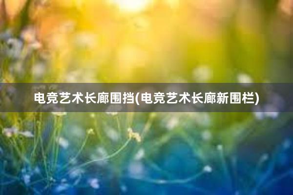   电竞艺术长廊围挡(电竞艺术长廊新围栏)