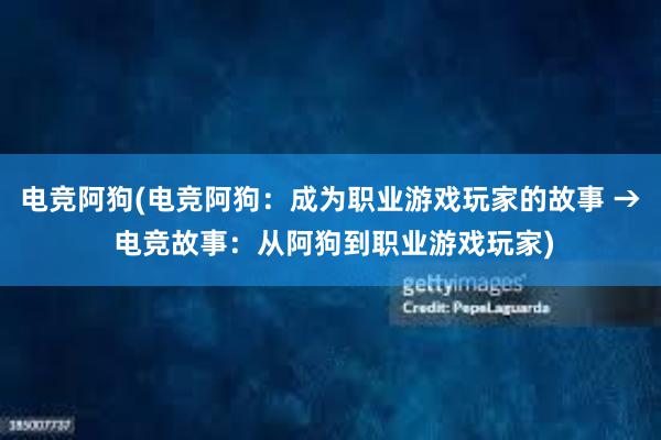 电竞阿狗(电竞阿狗：成为职业游戏玩家的故事 → 电竞故事：从阿狗到职业游戏玩家)