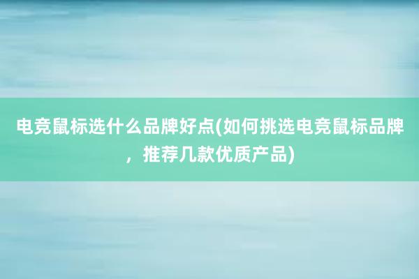   电竞鼠标选什么品牌好点(如何挑选电竞鼠标品牌，推荐几款优质产品)