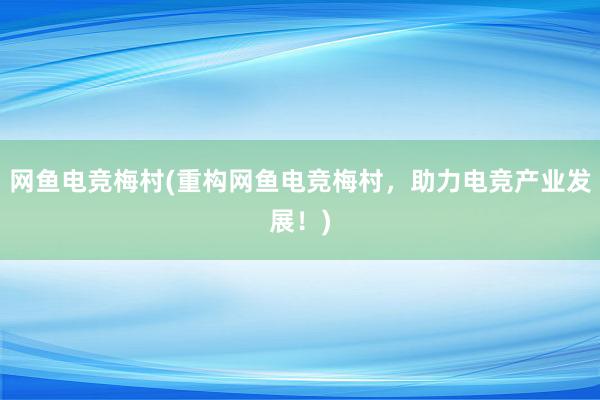   网鱼电竞梅村(重构网鱼电竞梅村，助力电竞产业发展！)