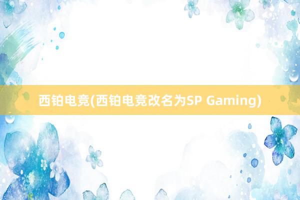 西铂电竞(西铂电竞改名为SP Gaming)