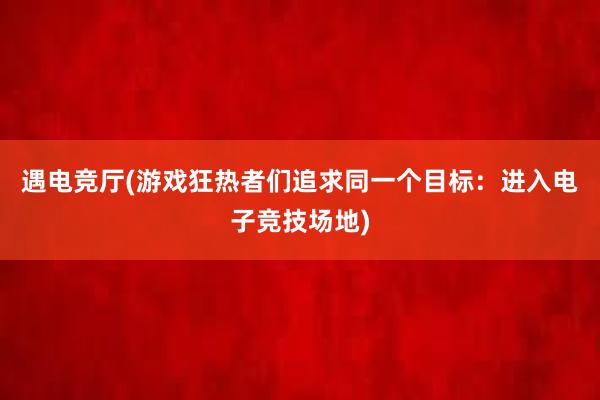 遇电竞厅(游戏狂热者们追求同一个目标：进入电子竞技场地)