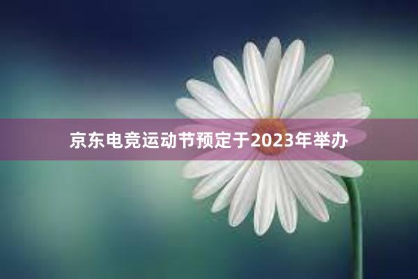 京东电竞运动节预定于2023年举办