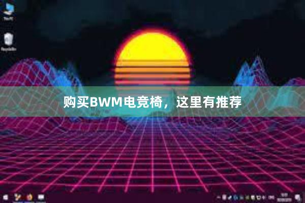 购买BWM电竞椅，这里有推荐