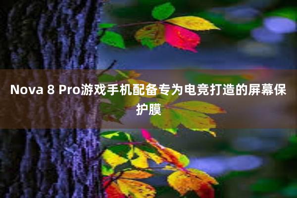   Nova 8 Pro游戏手机配备专为电竞打造的屏幕保护膜