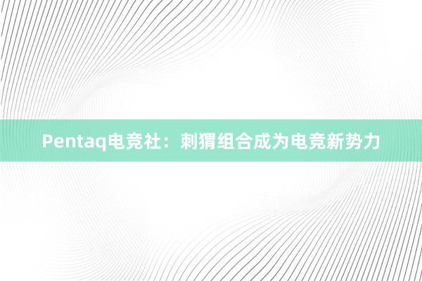 Pentaq电竞社：刺猬组合成为电竞新势力