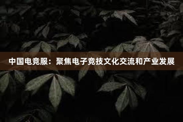   中国电竞服：聚焦电子竞技文化交流和产业发展