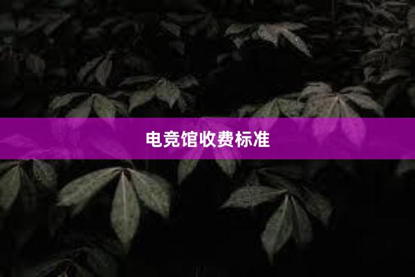 电竞馆收费标准