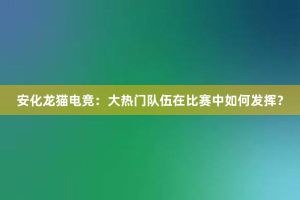 安化龙猫电竞：大热门队伍在比赛中如何发挥？