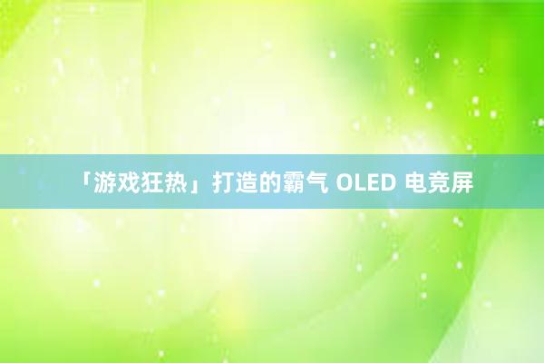 「游戏狂热」打造的霸气 OLED 电竞屏