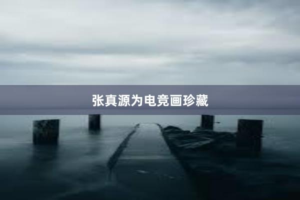   张真源为电竞画珍藏