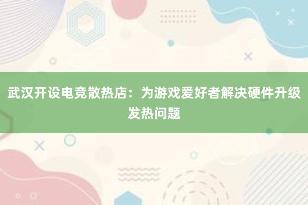   武汉开设电竞散热店：为游戏爱好者解决硬件升级发热问题