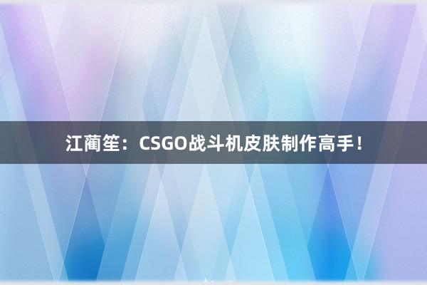 江蔺笙：CSGO战斗机皮肤制作高手！