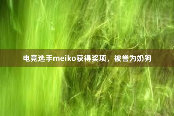   电竞选手meiko获得奖项，被誉为奶狗