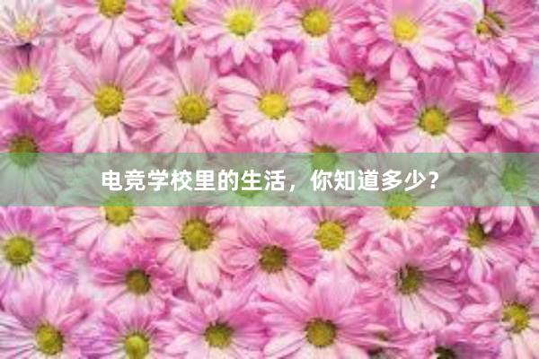 电竞学校里的生活，你知道多少？