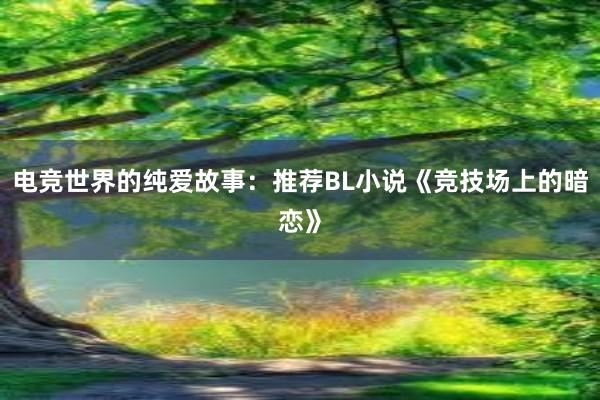   电竞世界的纯爱故事：推荐BL小说《竞技场上的暗恋》