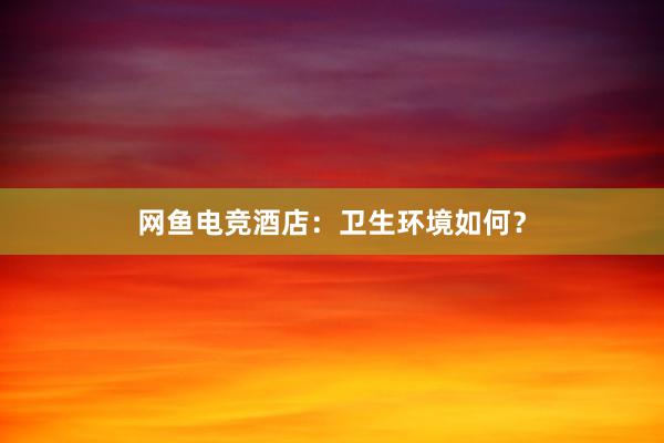   网鱼电竞酒店：卫生环境如何？