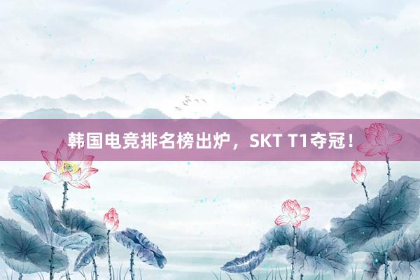   韩国电竞排名榜出炉，SKT T1夺冠！